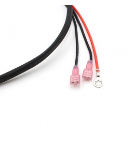 Manufacturers Custom TE Connectivity to Molex Automotive Wire Harness